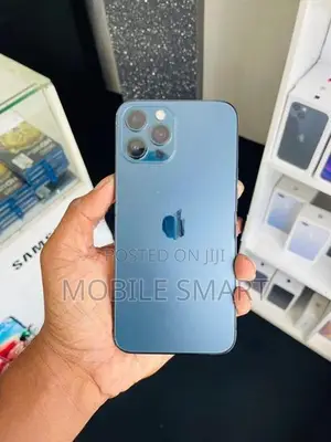 Apple iPhone 12 Pro Max 256GB (Used)