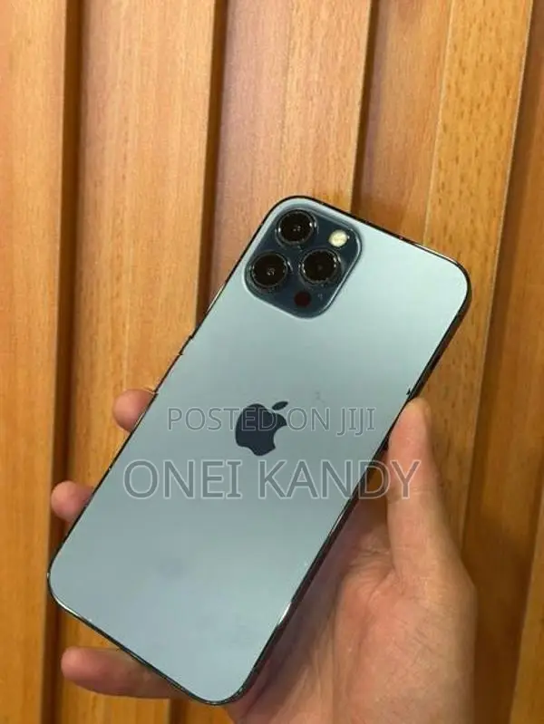 Apple iPhone 12 Pro Max 256GB (Used)