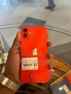 Apple iPhone 12 (Used)