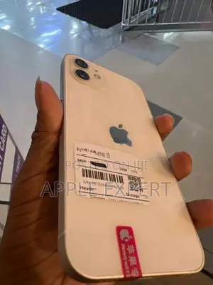 Apple iPhone 12 (Used)