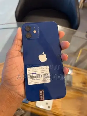 Apple iPhone 12 (Used)