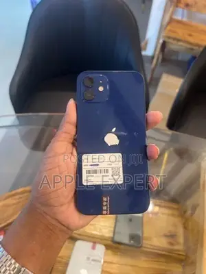 Apple iPhone 12 (Used)