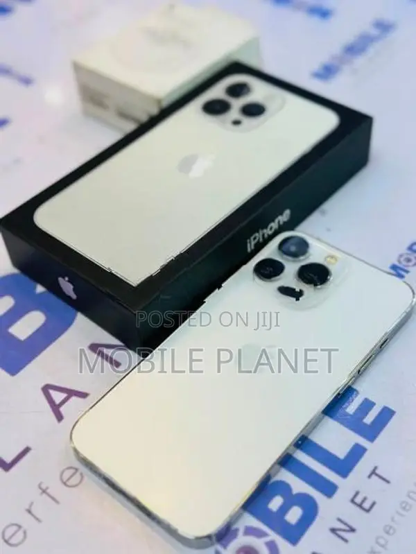 Apple iPhone 13 Pro 256GB (Used)