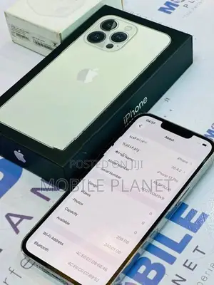 Apple iPhone 13 Pro 256GB (Used)