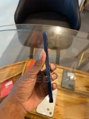 Apple iPhone 12 (Used)