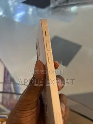 Apple iPhone 12 (Used)
