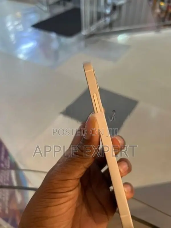Apple iPhone 12 (Used)