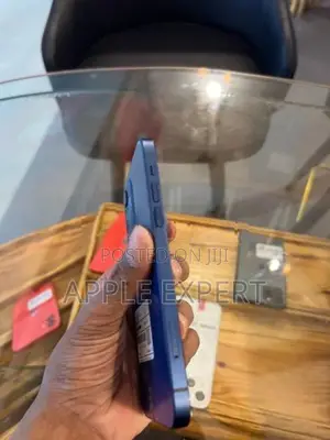 Apple iPhone 12 (Used)