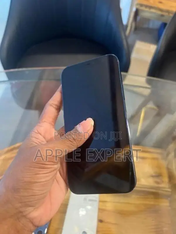 Apple iPhone 12 (Used)