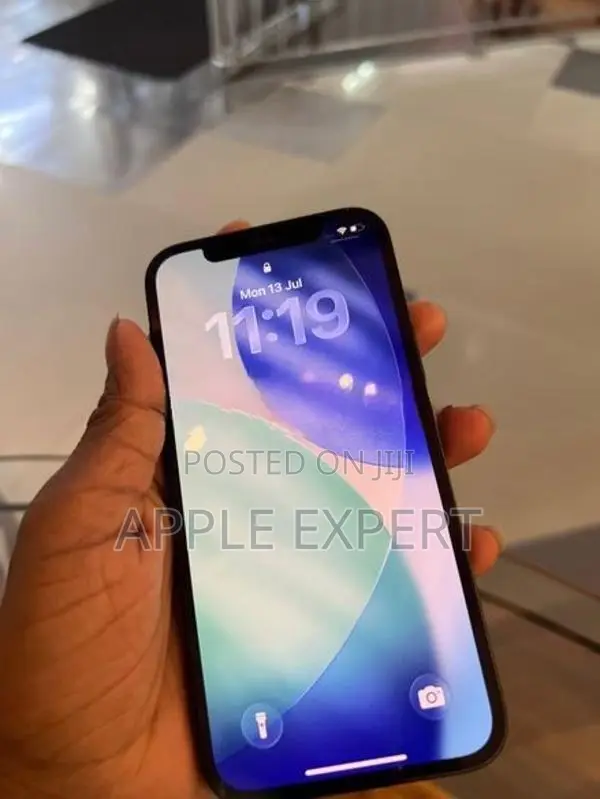 Apple iPhone 12 (Used)