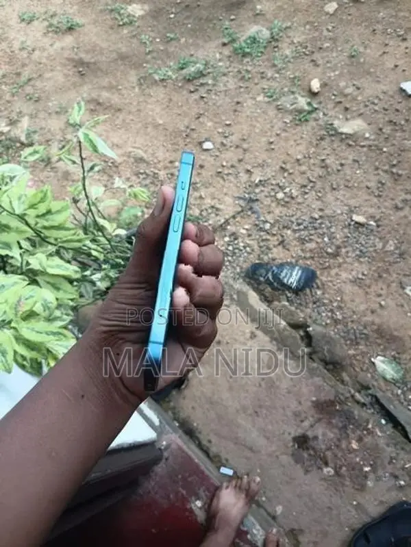 Apple iPhone 13 (Used)