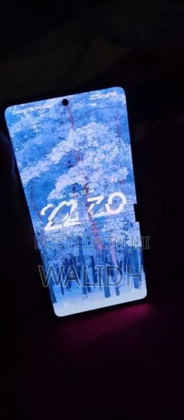 Xiaomi Redmi Note 13 Pro (Used)
