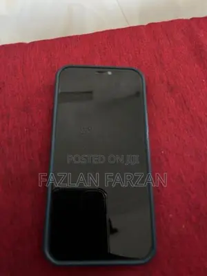 Apple iPhone 12 (Used)