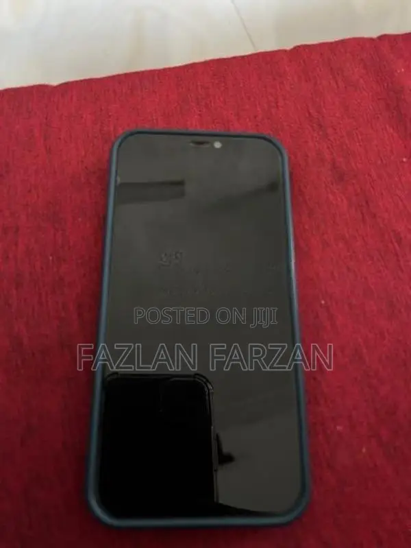 Apple iPhone 12 (Used)