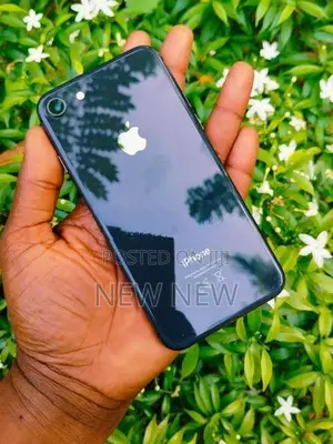 Apple iPhone 8 256gb (Used)