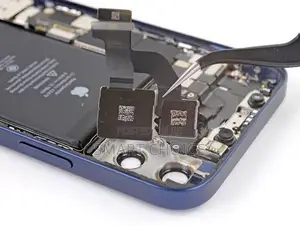 Apple iPhone 12 Rear(Back) Camera Replacement