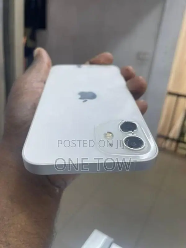 Apple iPhone 12 (Used)