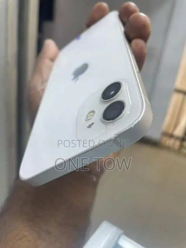 Apple iPhone 12 (Used)