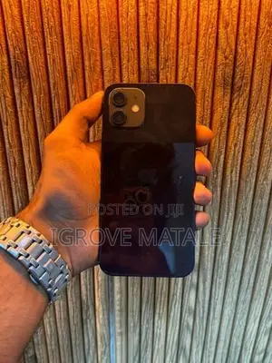 Apple iPhone 12 128GB (Used)