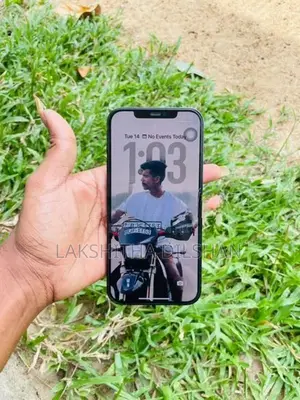 Apple iPhone 12 Pro Max 256GB (Used)