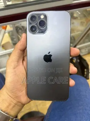 Apple iPhone 12 Pro Max 256GB (Used)