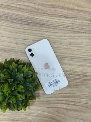 Apple iPhone 12 128GB (Used)