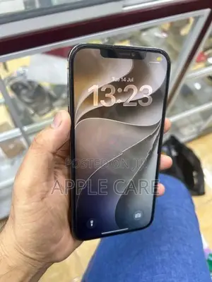 Apple iPhone 12 Pro Max 256GB (Used)