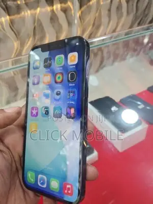 Apple iPhone 12 Pro (Used)