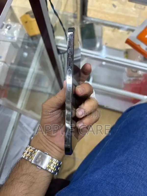 Apple iPhone 12 Pro Max 256GB (Used)