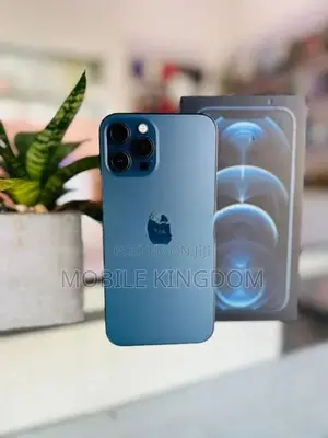 Apple iPhone 12 Pro Max 256GB (Used)