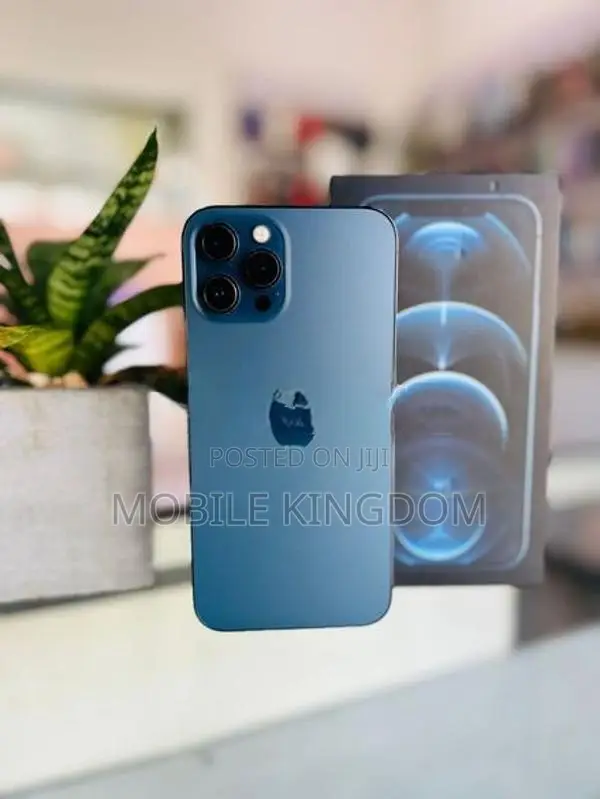 Apple iPhone 12 Pro Max 256GB (Used)