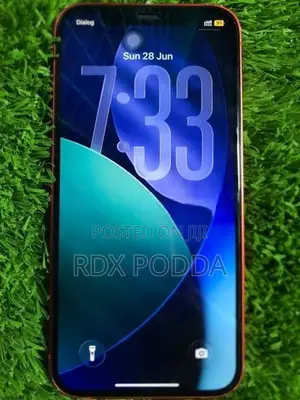 Apple iPhone 12 (Used)