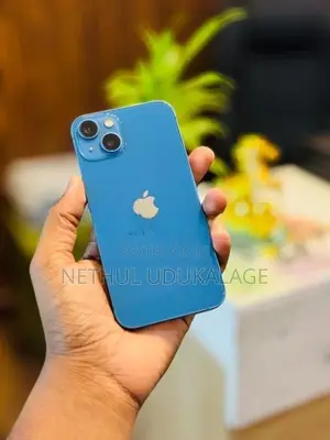 Apple iPhone 13 256GB (Used)