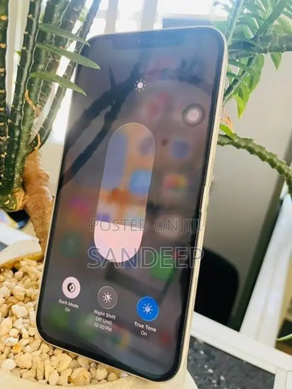 Apple iPhone 12 128GB (Used)