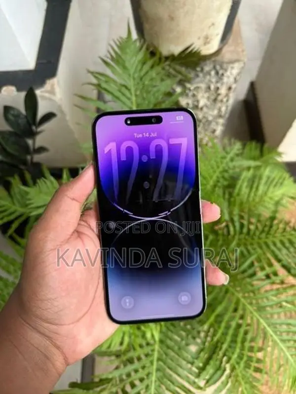 Apple iPhone 14 Pro Max 256GB (Used)