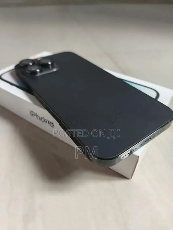 Apple iPhone 14 Pro Max 256GB (Used)