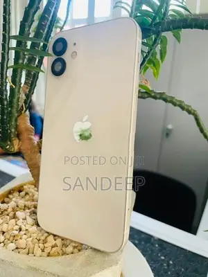 Apple iPhone 12 128GB (Used)