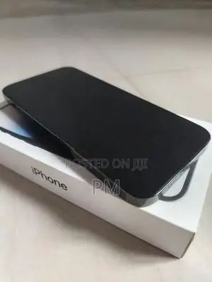 Apple iPhone 14 Pro Max 256GB (Used)