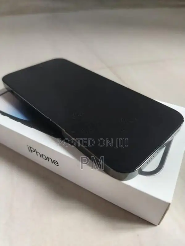 Apple iPhone 14 Pro Max 256GB (Used)