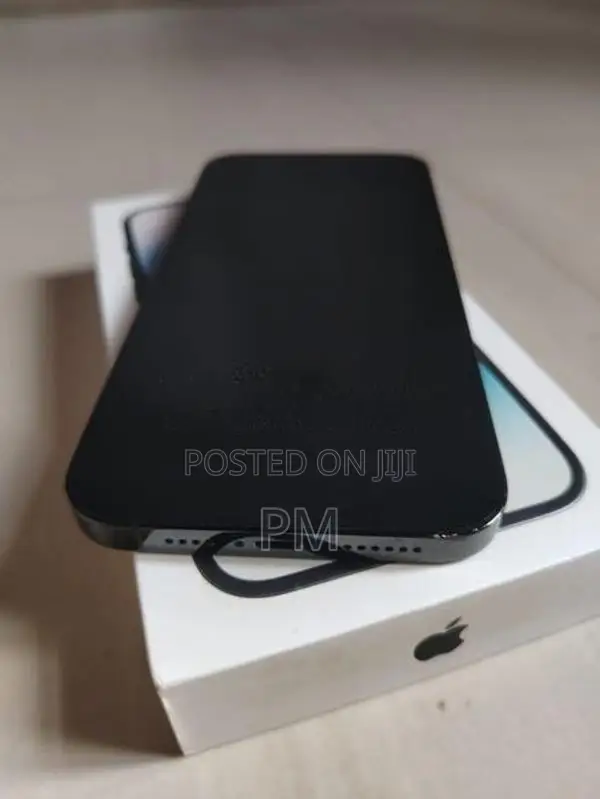 Apple iPhone 14 Pro Max 256GB (Used)