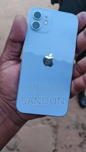 Apple iPhone 12 Sky Blue (Used)
