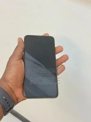 Apple iPhone XS Max 256GB (Used)