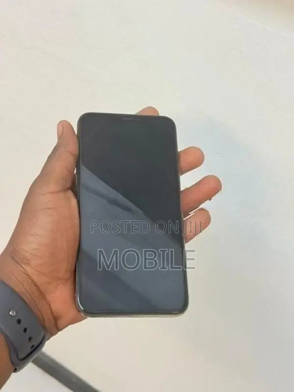 Apple iPhone XS Max 256GB (Used)