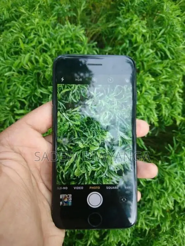 Apple iPhone 7 128GB (Used)