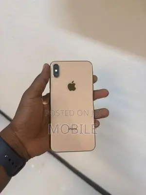 Apple iPhone XS Max 256GB (Used)