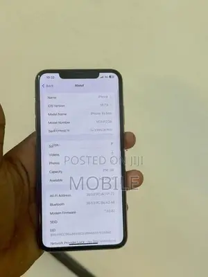 Apple iPhone XS Max 256GB (Used)