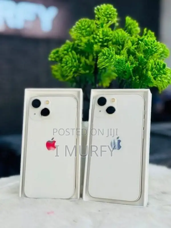 Apple iPhone 13 mini (Used)