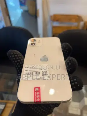 Apple iPhone 12 (Used)