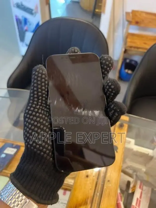 Apple iPhone 12 (Used)