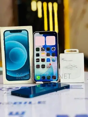 Apple iPhone 12 5G 256GB (Used)
